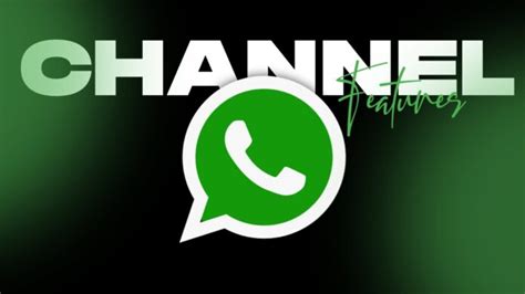 31 Best WhatsApp Channels to Join Right Now .